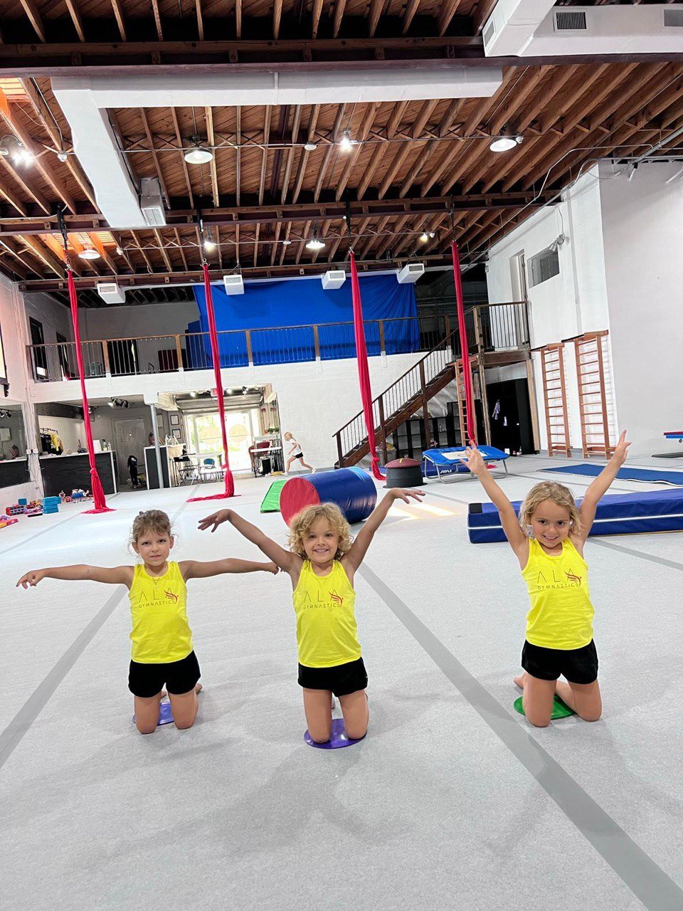 Learn Gymnastics in Miami! - ALAGymnastics